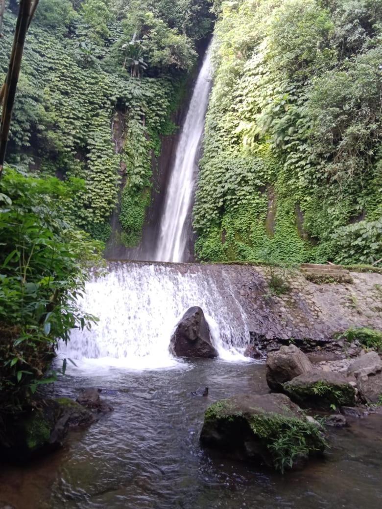 Puri Pilihani Hostel Munduk  Bagian luar foto